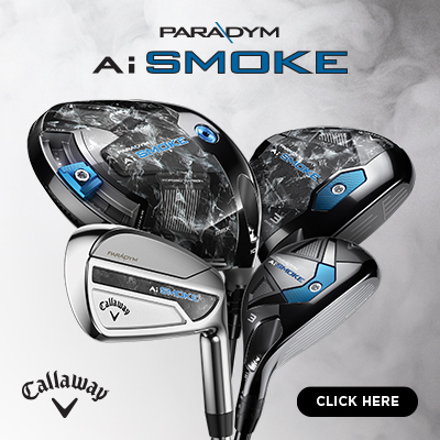 AI-SMOKE-FAM-400x400-23-EN