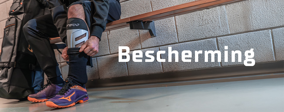 Bescherming